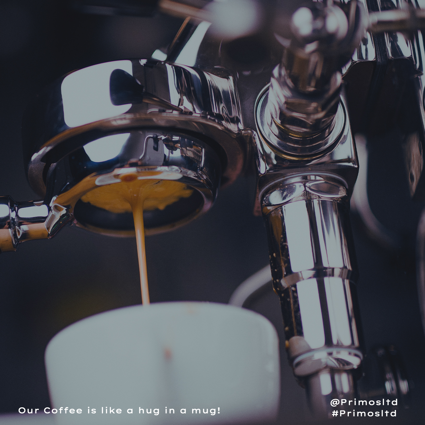 Coffee Team - Primos Coffee Solutions