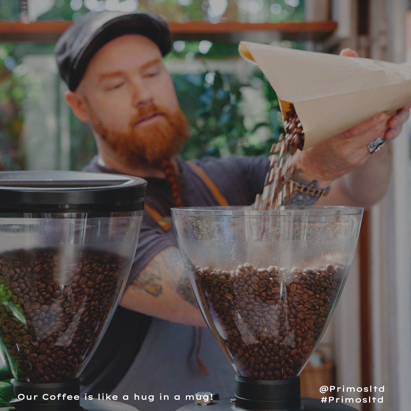 Coffee Shop Plan - Primos Coffee Solutions