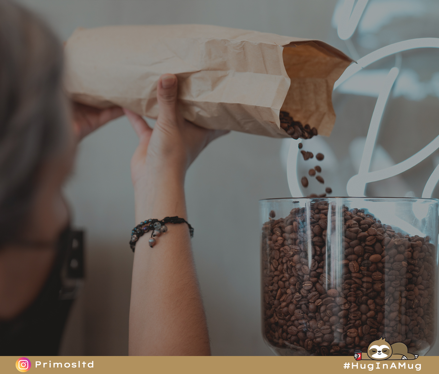 BP19.3 - Decaf Discourse- Unraveling the Mystery of Decaffeinated Coffee and Your Health - The Coffee Blog