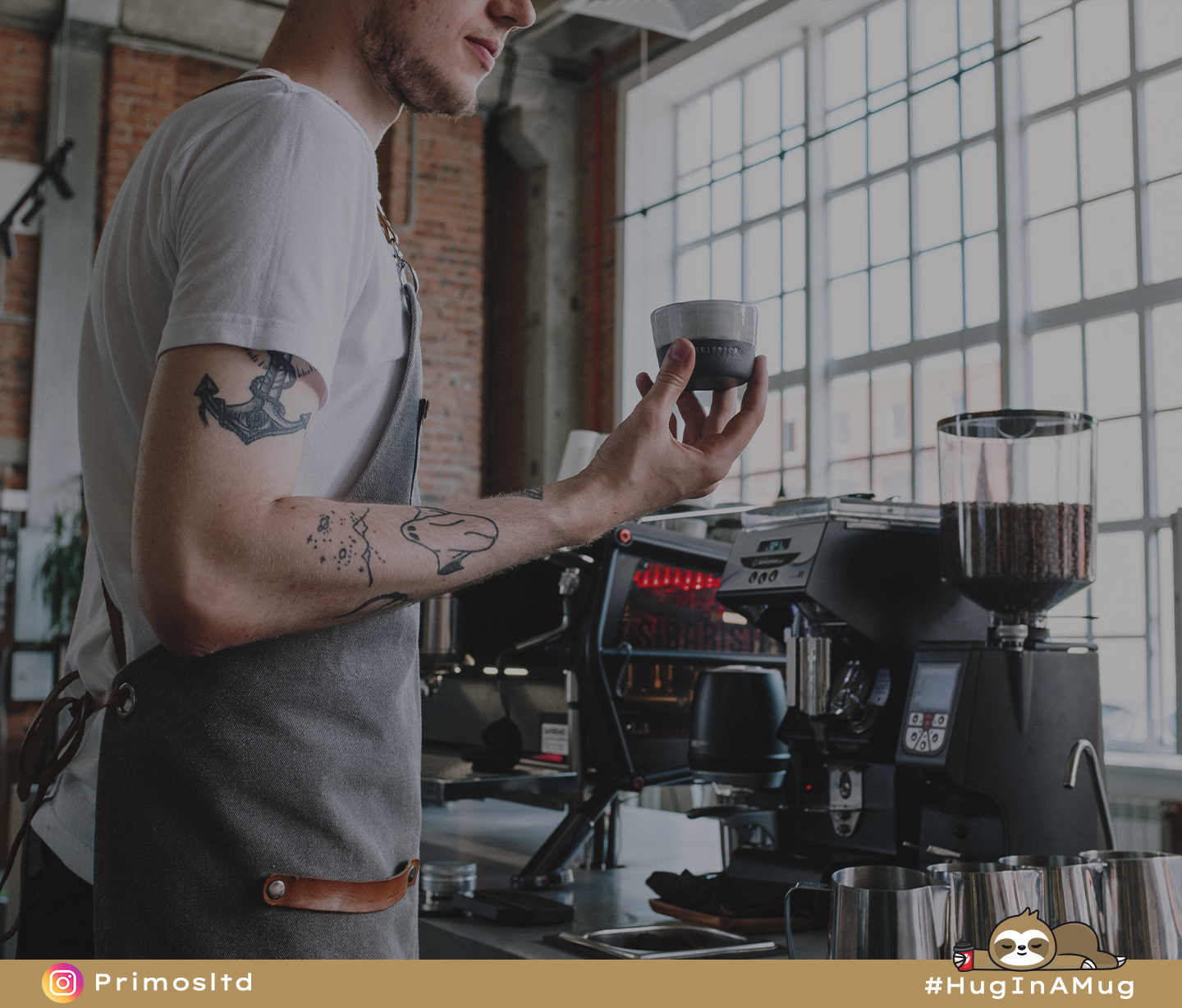 BP19.4 - Decaf Discourse- Unraveling the Mystery of Decaffeinated Coffee and Your Health - The Coffee Blog