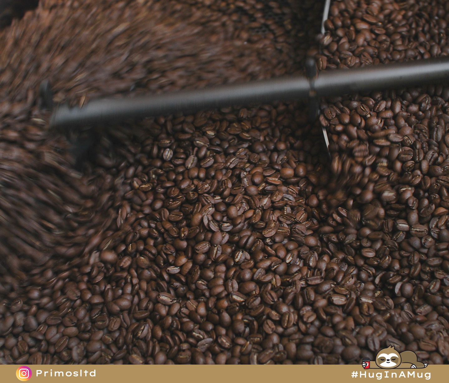 1 - BP32 - how much caffeine is in coffee