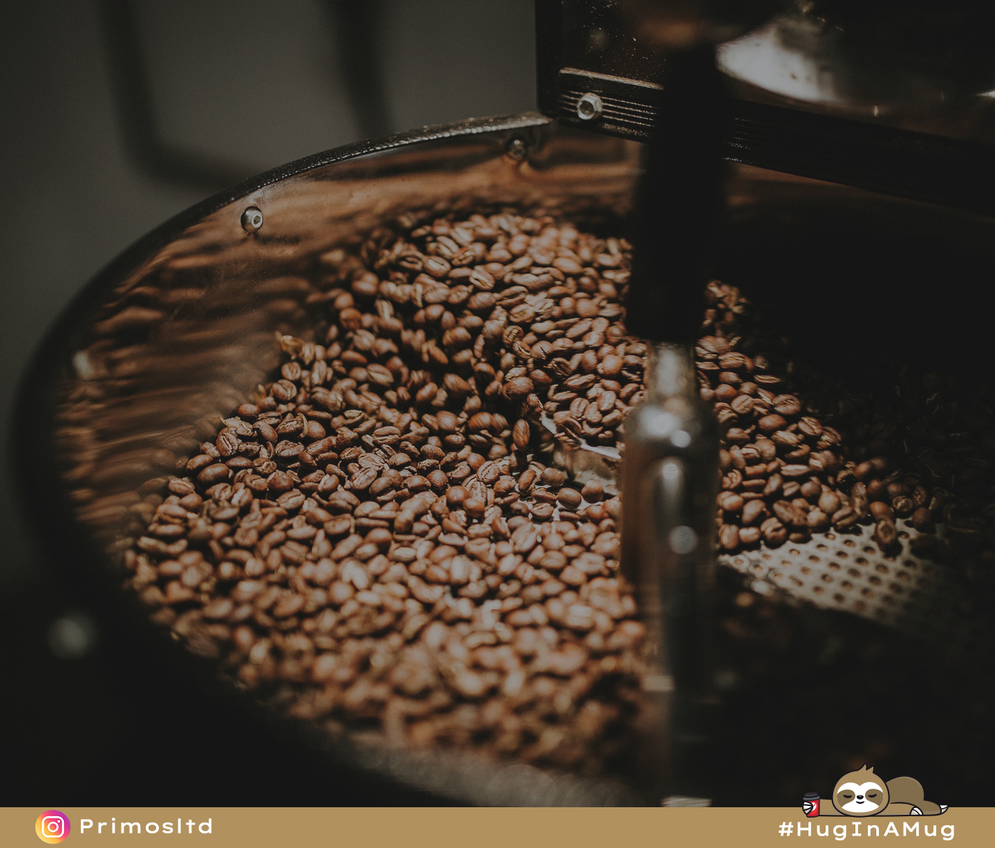 2 - BP33 - Mastering Coffee Bean Roasting - The Coffee Blog