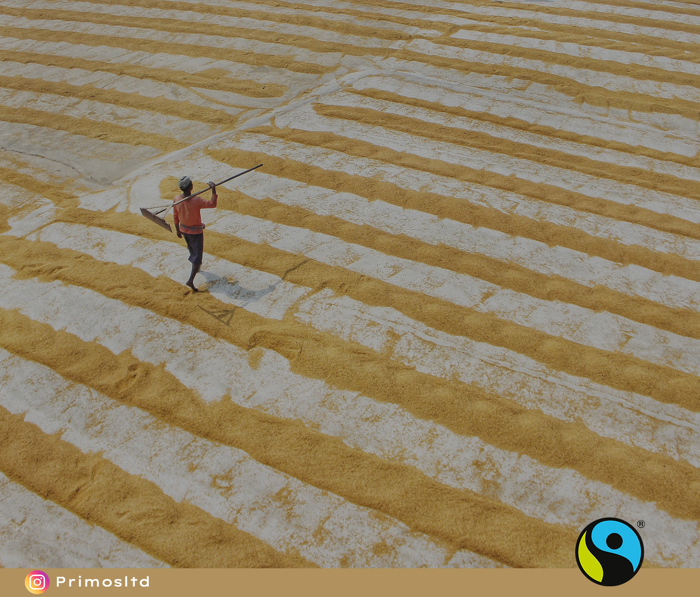 1 - BP40 - Fairtrade ethical consumerism - The Coffee Blog - Primos Coffee Solutions